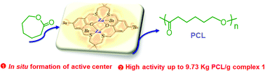 Graphical abstract: Ring-opening polymerization of ε-caprolactone mediated by a di-zinc complex bearing a macrocyclic thioether-phenolate [OSSO]-type ligand