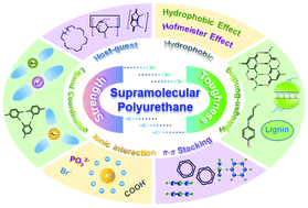 Graphical abstract: Recent advances in high-strength and high-toughness polyurethanes based on supramolecular interactions