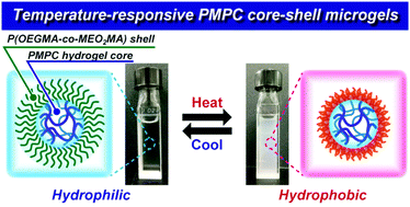 Graphical abstract: Core–shell microgels having zwitterionic hydrogel core and temperature-responsive shell prepared via inverse miniemulsion RAFT polymerization