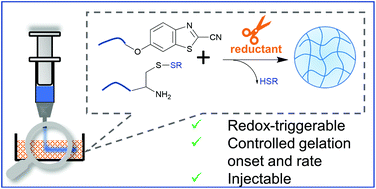 Graphical abstract: Redox-triggerable firefly luciferin-bioinspired hydrogels as injectable and cell-encapsulating matrices