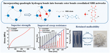 Graphical abstract: Molecularly engineered dual-crosslinked elastomer vitrimers with superior strength, improved creep resistance, and retained malleability
