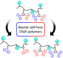 Graphical abstract: A simplified approach to thermally activated delayed fluorescence (TADF) bipolar host polymers