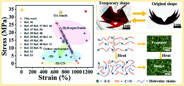 Graphical abstract: High-strength, high-toughness, self-healing thermosetting shape memory polyurethane enabled by dual dynamic covalent bonds