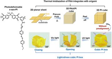 Graphical abstract: Photoinduced deformation of amorphous polyimide enabled by an improved azobenzene isomerization efficiency