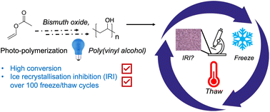 Graphical abstract: Synthesis of poly(vinyl alcohol) by blue light bismuth oxide photocatalysed RAFT. Evaluation of the impact of freeze/thaw cycling on ice recrystallisation inhibition