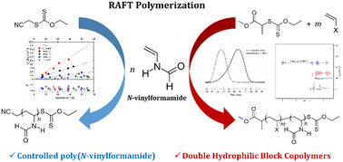 Graphical abstract: RAFT polymerisation of N-vinylformamide and the corresponding double hydrophilic block copolymers