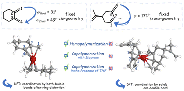 Graphical abstract: Geometric requirements for living anionic polymerization: polymerization of rotationally constrained 1,3-dienes