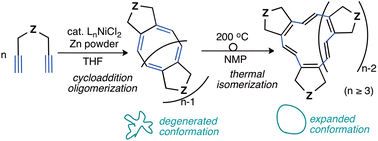 Graphical abstract: Nickel-catalysed cycloaddition oligomerisation of 1,6-diynes to medium-size cyclic polyenes