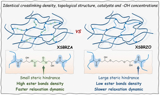 Graphical abstract: Design of ester crosslinked rubber with high dynamic properties by increasing dynamic covalent bond density