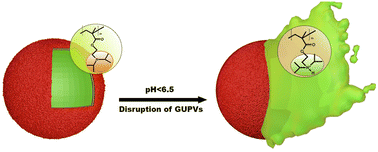 Graphical abstract: pH-Dependent disruption of giant polymer vesicles: a step towards biomimetic membranes