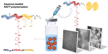 Graphical abstract: Aqueous seeded RAFT polymerization for the preparation of self-assemblies containing nucleobase analogues