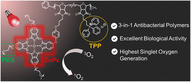 Graphical abstract: Poly(oxanorbornene)s bearing triphenylphosphonium and PEGylated zinc(ii) phthalocyanine with boosted photobiological activity and singlet oxygen generation