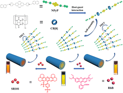 Graphical abstract: Artificial supramolecular light-harvesting systems based on a pyrene derivative for photochemical catalysis