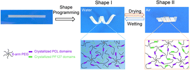 Graphical abstract: Semicrystalline polymer networks with a swelling-enhanced water-triggered two-way shape-memory effect for programmable deformation and smart actuation