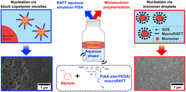 Graphical abstract: Aqueous RAFT polymerization-induced self-assembly (PISA): amphiphilic macroRAFT self-assembly vs. monomer droplet nucleation (miniemulsion polymerization)