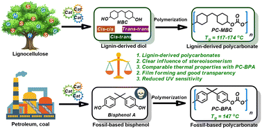 Graphical abstract: Novel stereoisomeric lignin-derived polycarbonates: towards the creation of bisphenol polycarbonate mimics