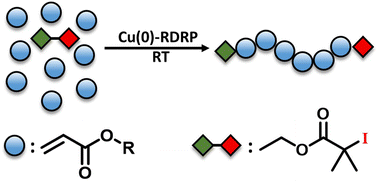 Graphical abstract: Cu(0)-RDRP of acrylates using an alkyl iodide initiator
