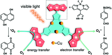 Graphical abstract: Strong visible light-absorbing BODIPY-based Cu(i) cyclic trinuclear sensitizer for photocatalysis