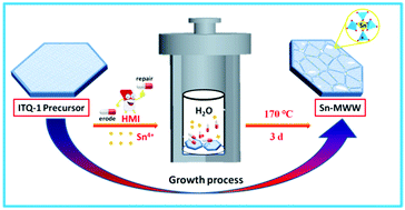 Graphical abstract: Facile and fast synthesis of highly active Lewis acid MWW zeolite from pure silica ITQ-1