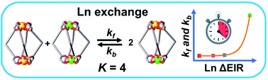 Graphical abstract: Dynamic lanthanide exchange between quadruple-stranded cages: the effect of ionic radius differences on kinetics and thermodynamics