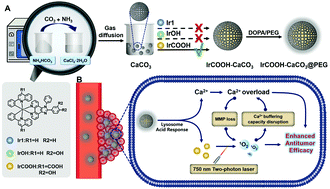 Graphical abstract: A pH-responsive iridium(iii) two-photon photosensitizer loaded CaCO3 nanoplatform for combined Ca2+ overload and photodynamic therapy