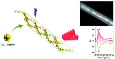 Graphical abstract: Achiral copper clusters helically confined in self-assembled chiral nanotubes emitting circularly polarized phosphorescence