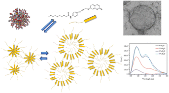 Graphical abstract: Supramolecular gold(i) vesicles: an in-depth study of their aggregation process