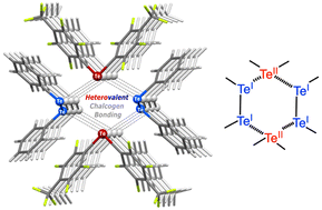 Graphical abstract: Heterovalent chalcogen bonding: supramolecular assembly driven by the occurrence of a tellurium(ii)⋯Ch(i) (Ch = S, Se, Te) linkage