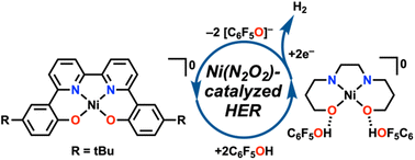 Graphical abstract: Electrocatalytic hydrogen evolution reaction by a Ni(N2O2) complex based on 2,2′-bipyridine