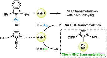 Graphical abstract: Ad aurum: tunable transfer of N-heterocyclic carbene complexes to gold surfaces