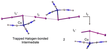Graphical abstract: Halogen bonding between metal-bound I3− and unbound I2: the trapped I2⋯I3− intermediate in the controlled assembly of copper(i)-based polyiodides