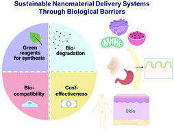 Graphical abstract: Trends and perspectives in bio- and eco-friendly sustainable nanomaterial delivery systems through biological barriers