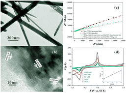 Graphical abstract: Synthesis and properties of BiDy composite electrode materials in electrochemical sensors