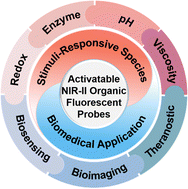 Graphical abstract: Recent advances in activatable NIR-II organic fluorophores for biomedical applications
