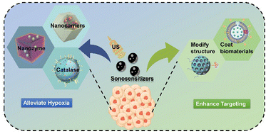 Graphical abstract: Nanomaterial-based sonosensitizers: from exemplary design towards purposeful improvement