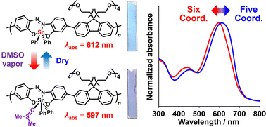 Graphical abstract: Vapochromic films of π-conjugated polymers based on coordination and desorption at hypervalent tin(iv)-fused azobenzene compounds