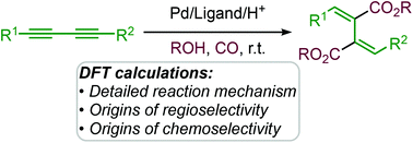 Graphical abstract: Palladium-catalyzed regio- and chemoselective double-alkoxycarbonylation of 1,3-diynes: a computational study