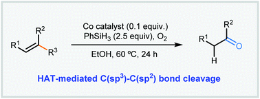 Graphical abstract: Co-Catalyzed C(sp3)–C(sp2) bond cleavage via hydrogen atom transfer