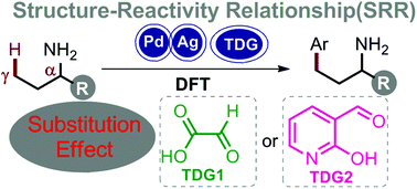 Graphical abstract: Theoretical investigation of the α-substitution effect on γ-C(sp3)–H arylation of amines: structure–reactivity relationship (SRR) studies