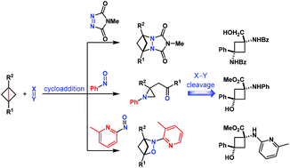 Graphical abstract: Diastereoselective synthesis of 1,1,3,3-tetrasubstituted cyclobutanes enabled by cycloaddition of bicyclo[1.1.0]butanes