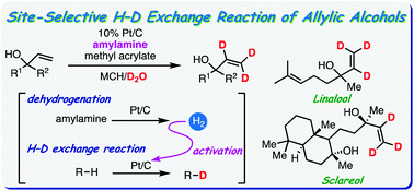 Graphical abstract: Platinum on carbon-catalysed site-selective H–D exchange reaction of allylic alcohols using alkyl amines as a hydrogen source