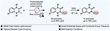 Graphical abstract: Direct C(sp3)–H difluoromethylation via radical–radical cross-coupling by visible-light photoredox catalysis