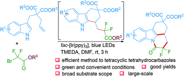 Graphical abstract: Assembly of tetracyclic tetrahydrocarbazoles via a visible-light promoted cascade process