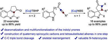 Graphical abstract: Copper catalyzed dearomatization by Michael-type addition of indolyl ynones: divergent synthesis of functionalized spiroindoles and cyclopenta[c]quinolin-3-ones