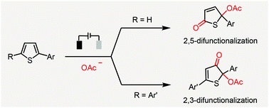 Graphical abstract: Electrochemical oxidative dearomatization of 2-arylthiophenes