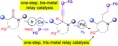 Graphical abstract: Tandem-catalysis-enabled highly chemoselective deoxygenative alkynylation and alkylation of tertiary amides: a versatile entry to functionalized α-substituted amines
