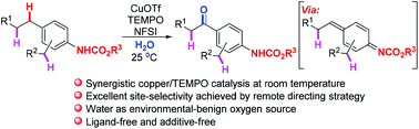 Graphical abstract: Remote carbamate-directed site-selective benzylic C–H oxygenation via synergistic copper/TEMPO catalysis at room temperature
