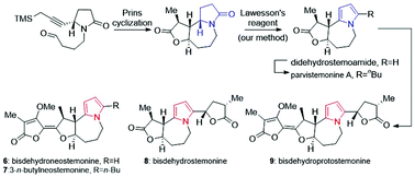 Graphical abstract: Asymmetric total syntheses of five pyrrole-type Stemona alkaloids