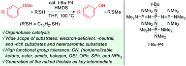 Graphical abstract: Organic superbase t-Bu-P4-catalyzed demethylations of methoxyarenes