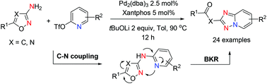 Graphical abstract: Tandem C–N coupling/Boulton–Katritzky rearrangement reactions of 3-aminoisoxazoles or 1,2,4-oxadiazol-3-amines with 2-pyridyl trifluoromethanesulfonate: a rapid access to [1,2,4]triazolo[1,5-a]pyridines